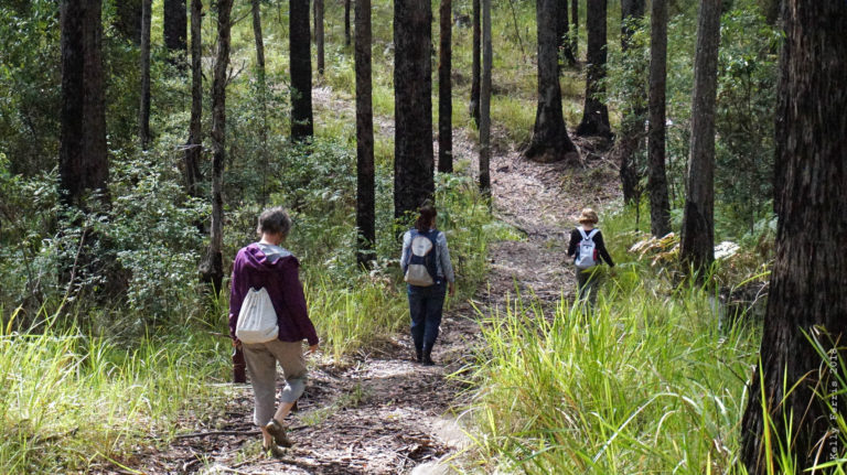 Nature Therapy Walks - ...metaphorically speaking