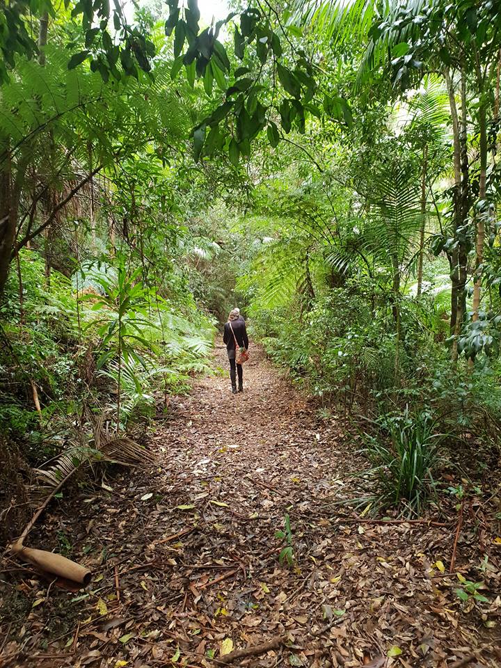 3 Reasons Why You Should Go Forest Bathing - ...metaphorically speaking