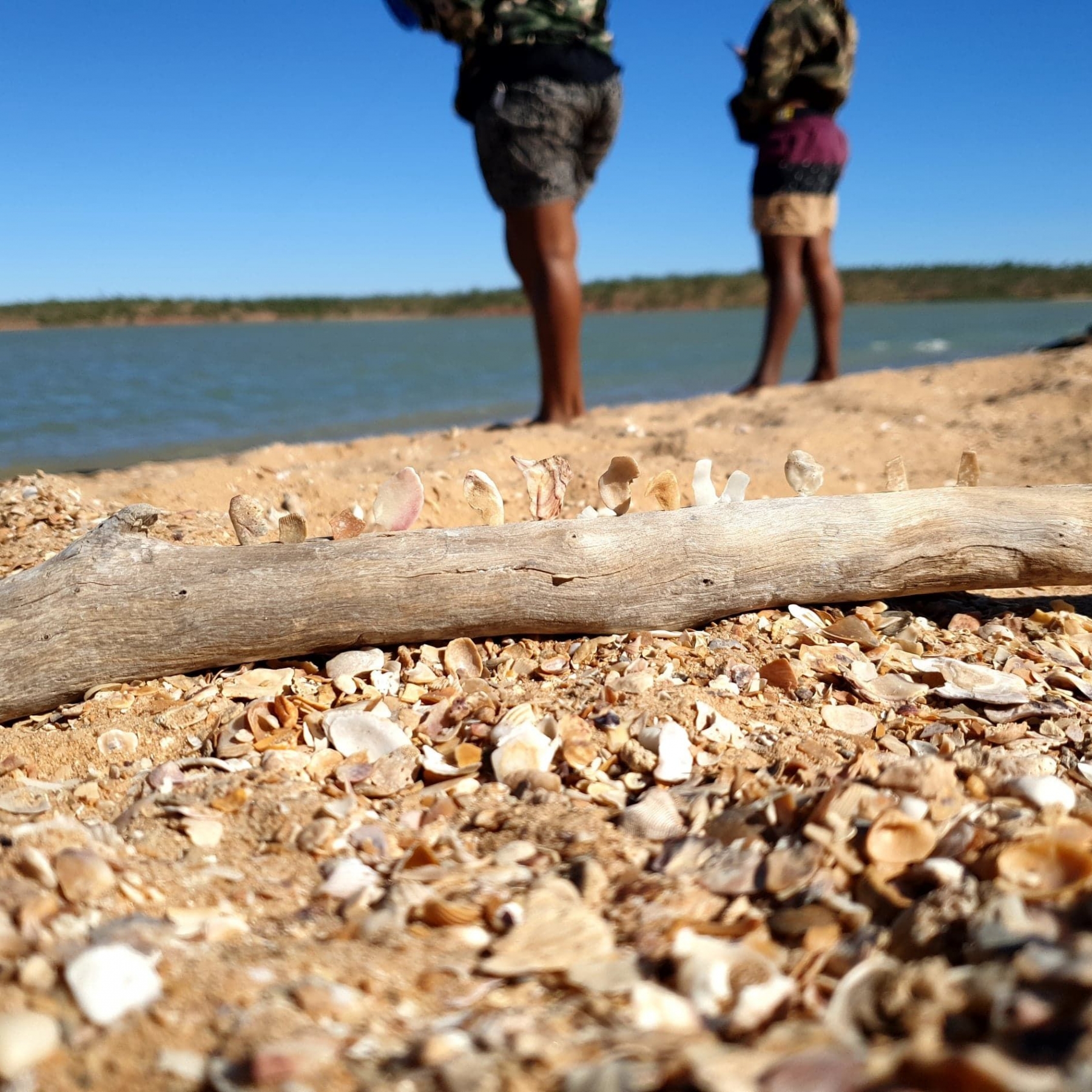 narrative-work-with-aboriginal-communities-archives-metaphorically